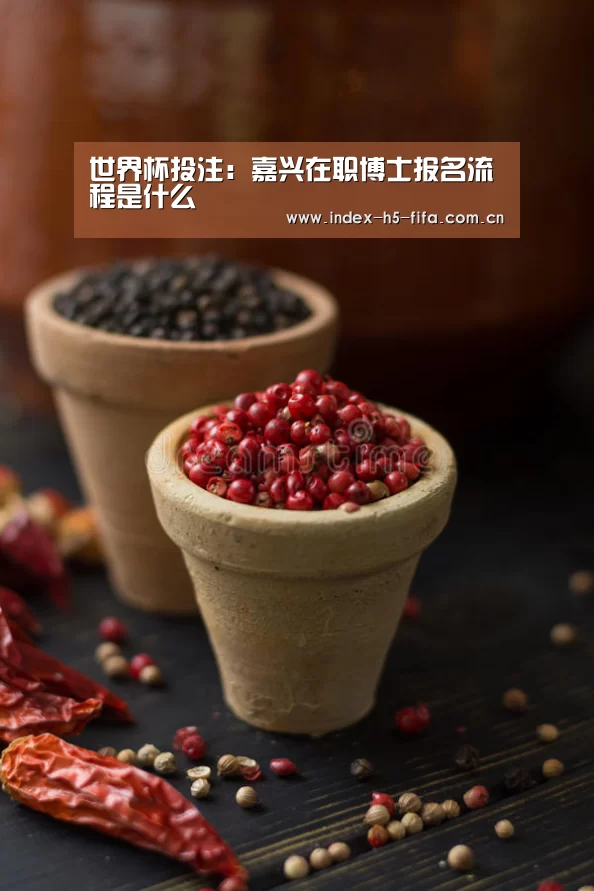 世界杯投注:嘉兴在职博士报名流程是什么(图3) 世界杯投注