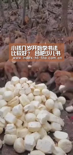 小孩几岁开始学书法比较好? 合肥少儿书法入门指南_世界杯投注(图2) 世界杯投注