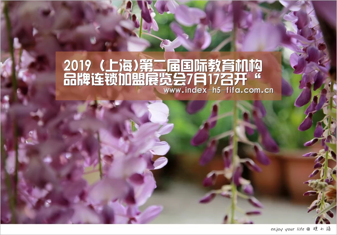 2019(上海)第二届国际教育机构品牌连锁加盟展览会7月17召开“世界杯投注”(图3) 世界杯投注