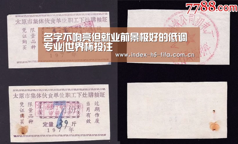 名字不响亮但就业前景极好的低调专业|世界杯投注(图1) 世界杯投注