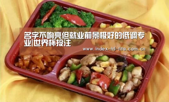 名字不响亮但就业前景极好的低调专业|世界杯投注(图4) 世界杯投注